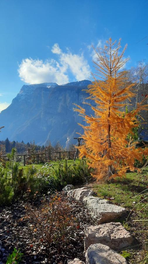 Il Giardino Di Anna - Appartamento 1 Fai della Paganella Zewnętrze zdjęcie